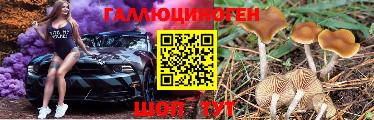 Миллерово  Галлюциногенные грибы прущие грибы  Вход с VPN 