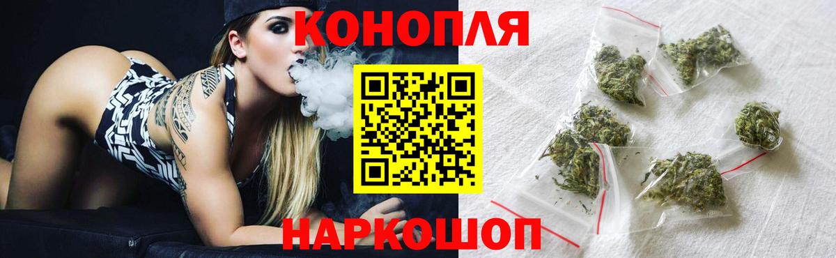 Каннабис план Миллерово
